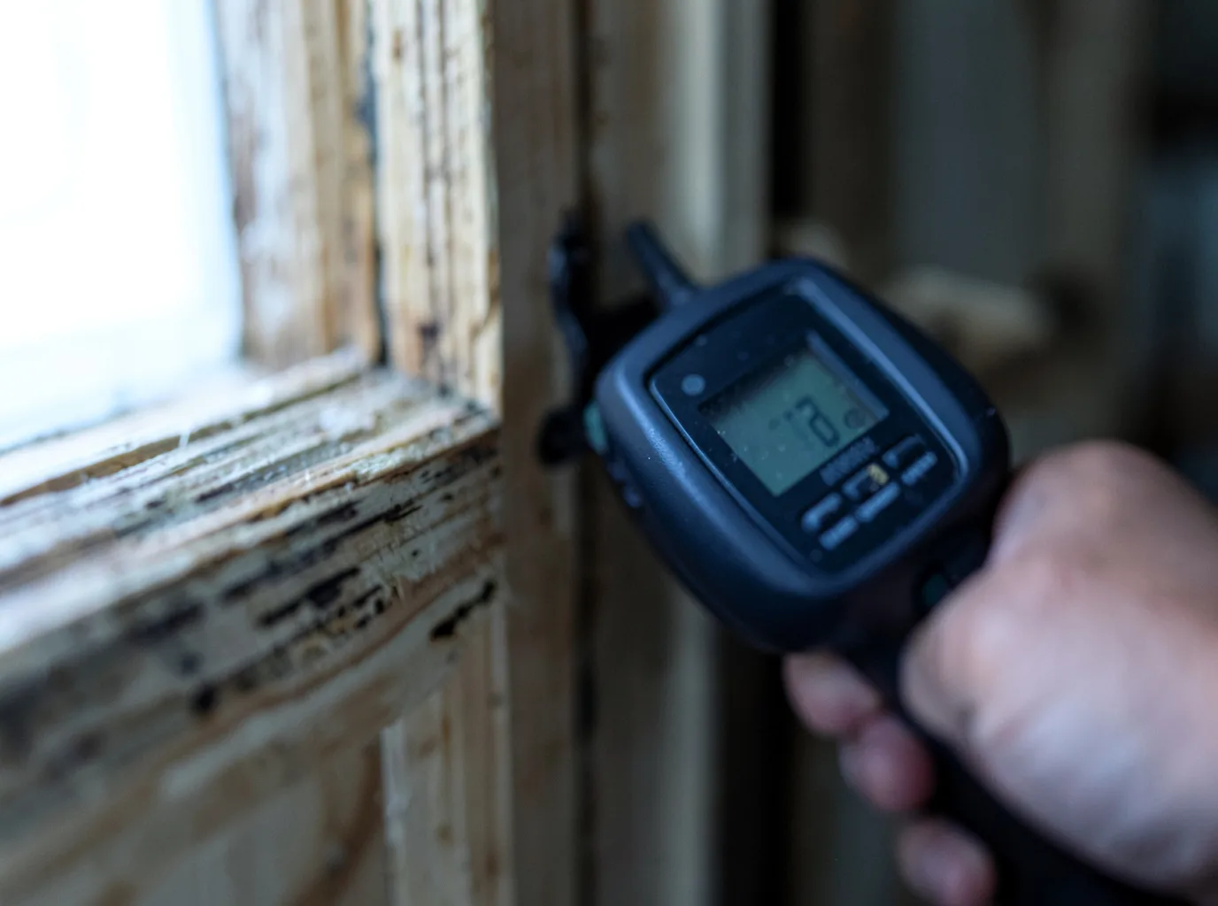 Moisture Inspection And Documentation in Put In Bay, OH